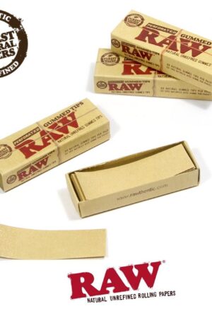 RAW | Perforated Gummed Natural Tips | Bundle of 3